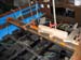 ./2004/Chantier_Goeland_Avril/p/IMG_0534.jpg