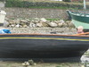 ./2009/20090413_carenage_mouette_goeland/p/IMG_7114.JPG