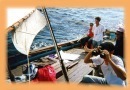 ./1997/paimpol_97_(1)/p/paimpol3.jpg