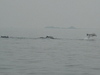 ./2007/071007_sortie_peche/p/p1090753.jpg