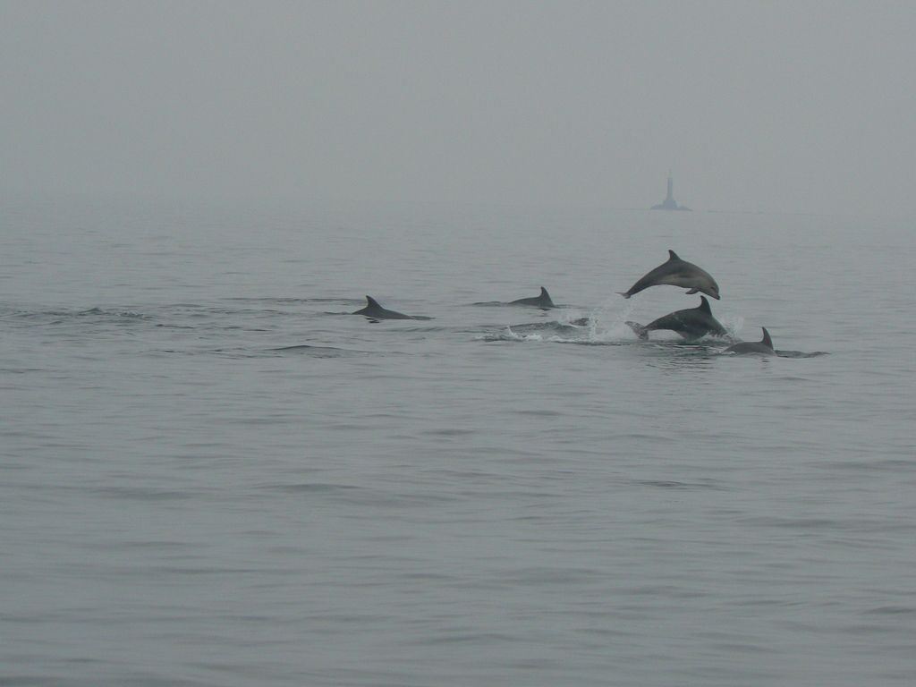./2007/071007_sortie_peche/p1090752.jpg