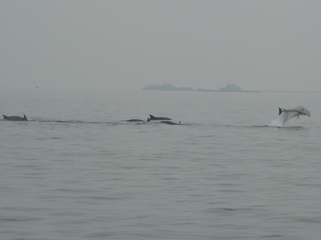 ./2007/071007_sortie_peche/p1090753.jpg