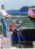 ./le_chantier_de_la_Mouette_1995-96/1996_mise_a_l_eau/p/19960614_mise_a_leau4a.jpg